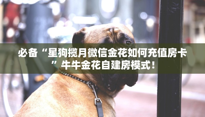 居家必备“新众乐微信平台金花购买方法房卡”大厅自建房模式! 居家必备“新众乐微信平台金花购买方法房卡”大厅自建房模式!