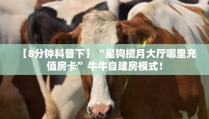【8分钟科普下】“星狗揽月大厅哪里充值房卡”牛牛自建房模式! 【8分钟科普下】“星狗揽月大厅哪里充值房卡”牛牛自建房模式!