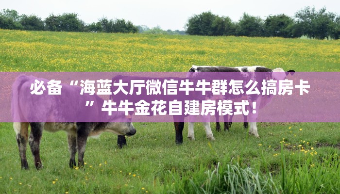 居家必备“长虹微信群牛牛从哪买房卡”大厅自建房模式! 居家必备“长虹微信群牛牛从哪买房卡”大厅自建房模式!