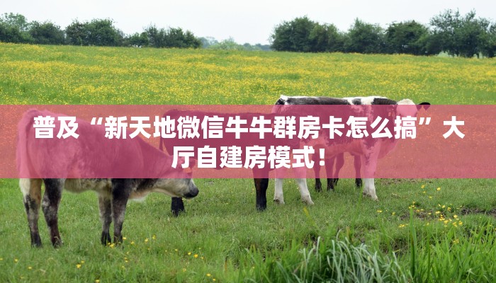 普及“新天地微信牛牛群房卡怎么搞”大厅自建房模式! 普及“新天地微信牛牛群房卡怎么搞”大厅自建房模式!