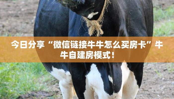 今日分享“微信链接牛牛怎么买房卡”牛牛自建房模式! 今日分享“微信链接牛牛怎么买房卡”牛牛自建房模式!