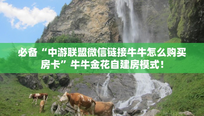 必备“中游联盟微信链接牛牛怎么购买房卡”牛牛金花自建房模式! 必备“中游联盟微信链接牛牛怎么购买房卡”牛牛金花自建房模式!