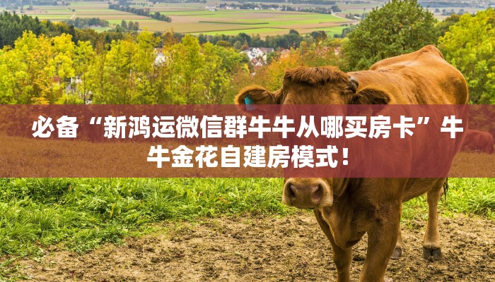 今日分享“微信群里用链接玩斗牛拼十房卡如何充值”牛牛自建房模式! 今日分享“微信群里用链接玩斗牛拼十房卡如何充值”牛牛自建房模式!