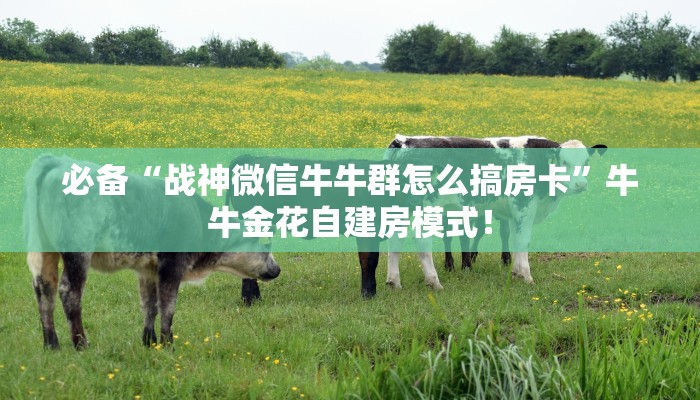 必备“新全游微信链接牛牛怎么购买房卡”牛牛金花自建房模式! 必备“新全游微信链接牛牛怎么购买房卡”牛牛金花自建房模式!