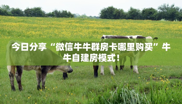 今日分享“微信牛牛群房卡哪里购买”牛牛自建房模式! 今日分享“微信牛牛群房卡哪里购买”牛牛自建房模式!