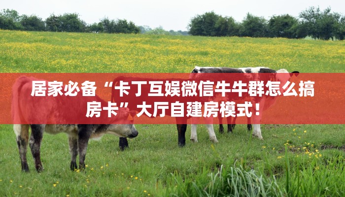 居家必备“卡丁互娱微信牛牛群怎么搞房卡”大厅自建房模式! 居家必备“卡丁互娱微信牛牛群怎么搞房卡”大厅自建房模式!