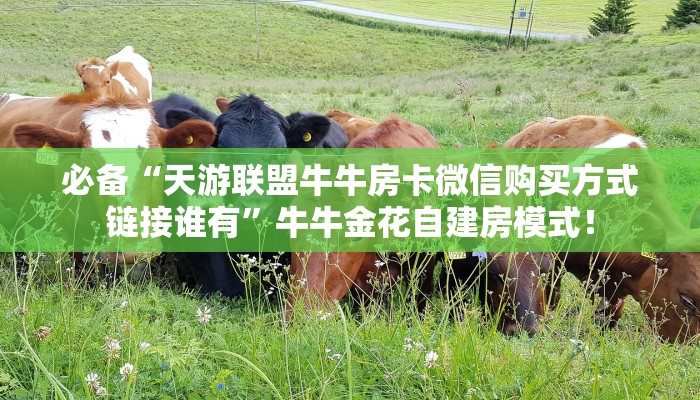 必备“天游联盟牛牛房卡微信购买方式链接谁有”牛牛金花自建房模式! 必备“天游联盟牛牛房卡微信购买方式链接谁有”牛牛金花自建房模式!