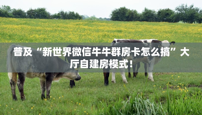 普及“新世界微信牛牛群房卡怎么搞”大厅自建房模式! 普及“新世界微信牛牛群房卡怎么搞”大厅自建房模式!
