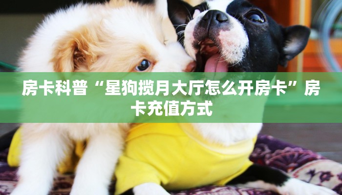 房卡教程经验“钻石大厅怎么开房卡”获取房卡经验 房卡教程经验“钻石大厅怎么开房卡”获取房卡经验