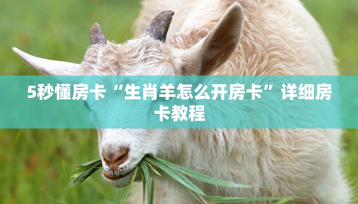 5秒懂房卡“热玩吧房卡”详细房卡教程 5秒懂房卡“热玩吧房卡”详细房卡教程