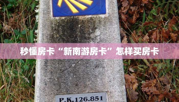 秒懂房卡“新南游房卡”怎样买房卡 秒懂房卡“新南游房卡”怎样买房卡