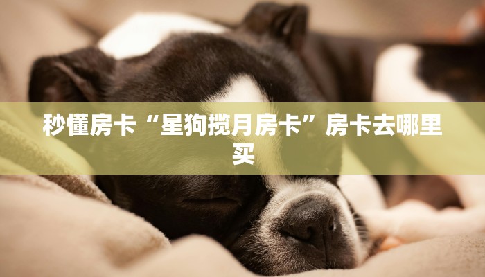 秒懂房卡“星狗揽月房卡”房卡去哪里买 秒懂房卡“星狗揽月房卡”房卡去哪里买
