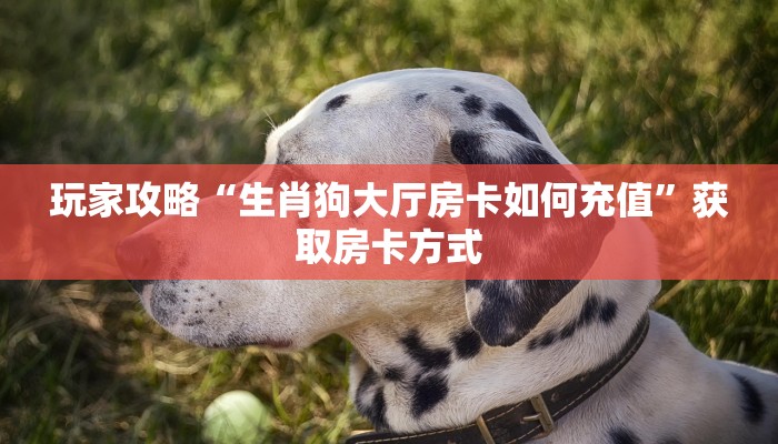 玩家攻略“生肖狗大厅房卡如何充值”获取房卡方式 玩家攻略“生肖狗大厅房卡如何充值”获取房卡方式