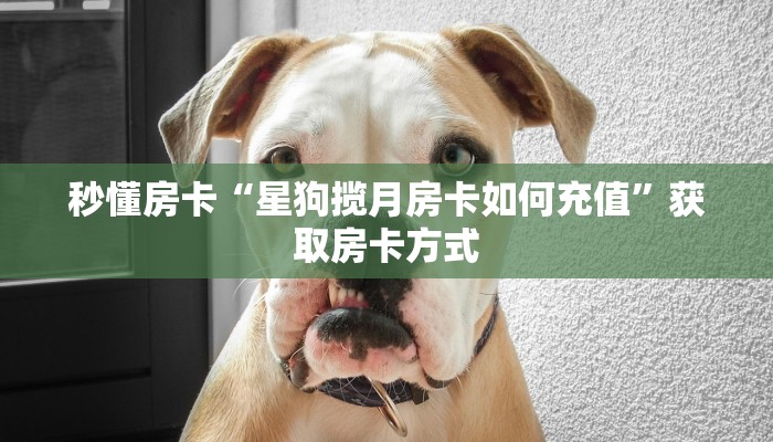 秒懂房卡“星狗揽月房卡如何充值”获取房卡方式 秒懂房卡“星狗揽月房卡如何充值”获取房卡方式