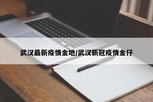 武汉最新疫情金地/武汉新冠疫情金仔